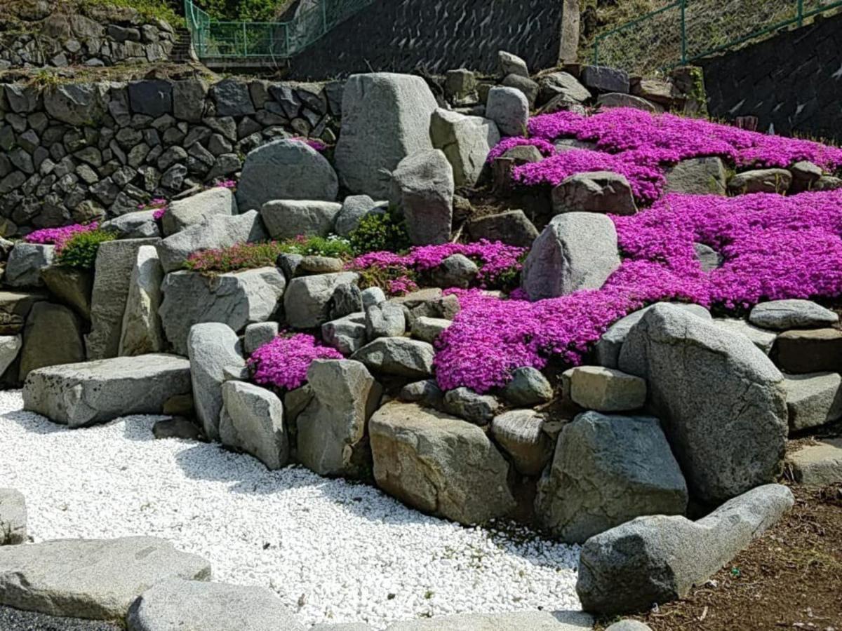 Siawase No Yado Shared With Host - Vacation Stay 68283V 笛吹市 外观 照片
